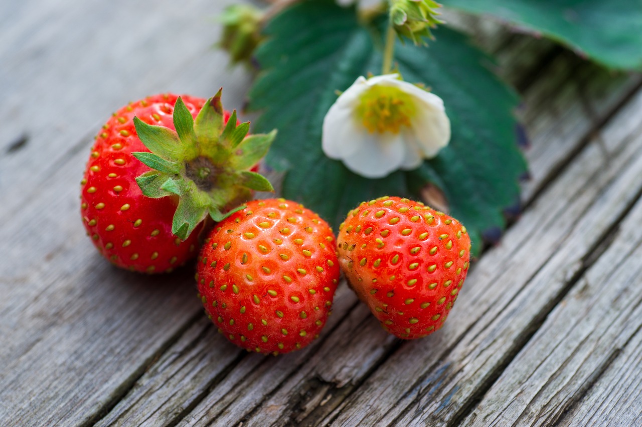 ontdek de essentiële voedingsstoffen die ons lichaam nodig heeft voor een optimale gezondheid. leer meer over vitamines, mineralen en andere belangrijke bestanddelen die bijdragen aan een evenwichtige voeding en een vitale levensstijl.