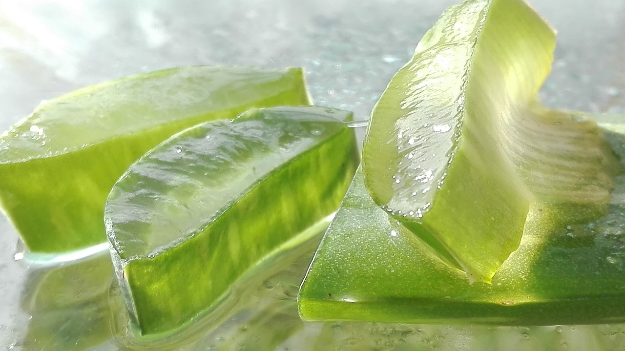 ontdek de veelzijdige voordelen van aloe vera voor huid, haar en gezondheid. leer hoe deze krachtige plant kan bijdragen aan jouw welzijn en schoonheid.