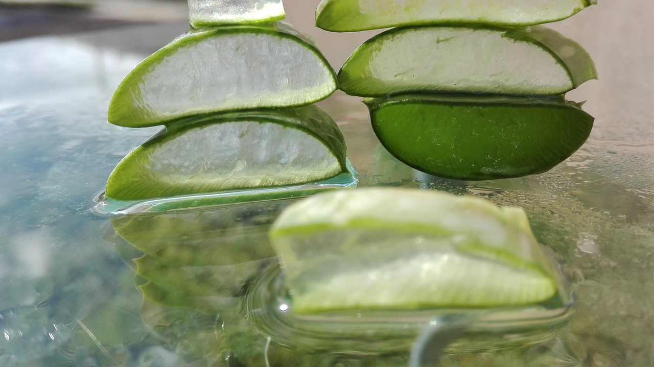 ontdek de vele voordelen van aloë vera! deze veelzijdige plant staat bekend om zijn hydraterende, genezende en verfrissende eigenschappen. leer hoe je aloë vera kunt gebruiken voor huidverzorging, gezondheid en welzijn.