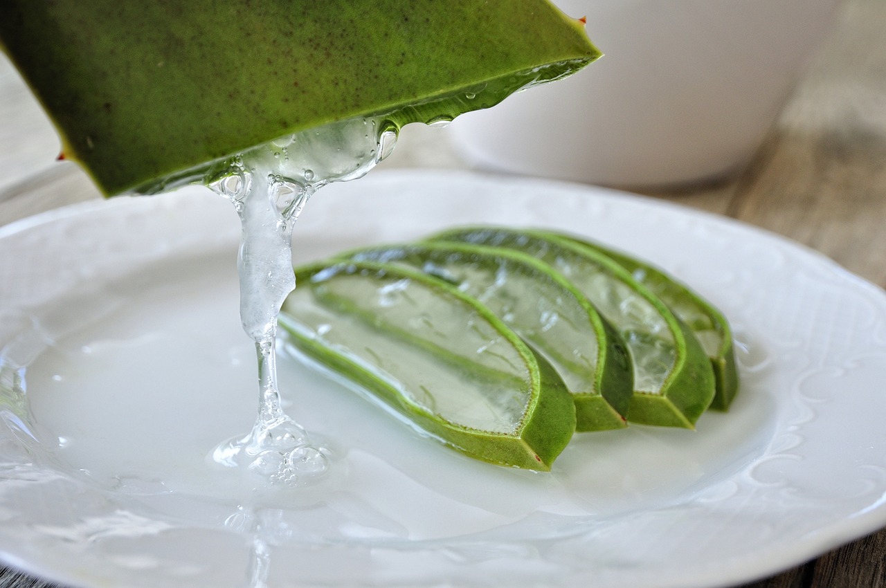 ontdek de voordelen van aloë vera voor je gezondheid en welzijn. leer hoe deze krachtige plant kan bijdragen aan een betere huid, spijsvertering en algehele vitaliteit.