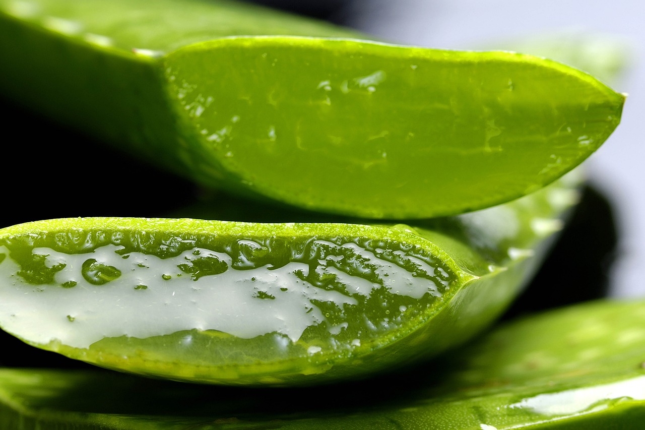 ontdek alles over aloe vera: de voordelen voor je huid, gezondheid en dagelijkse verzorging. leer hoe je dit wonderplantje thuis kunt gebruiken voor optimale resultaten.