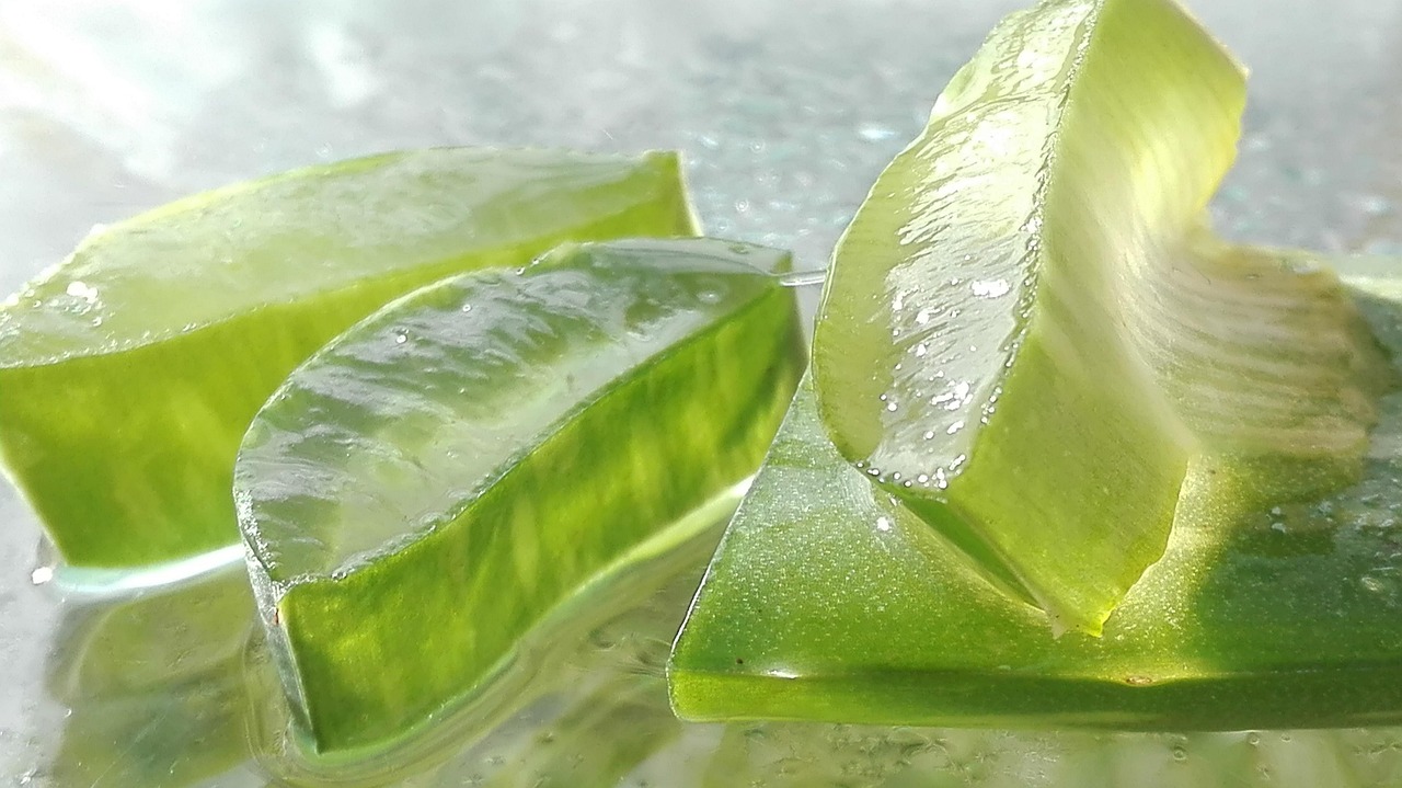 ontdek de voordelen van aloë vera! lees alles over de geneeskrachtige eigenschappen, toepassingen voor huid, haar en gezondheid, en tips voor gebruik van deze populaire plant.