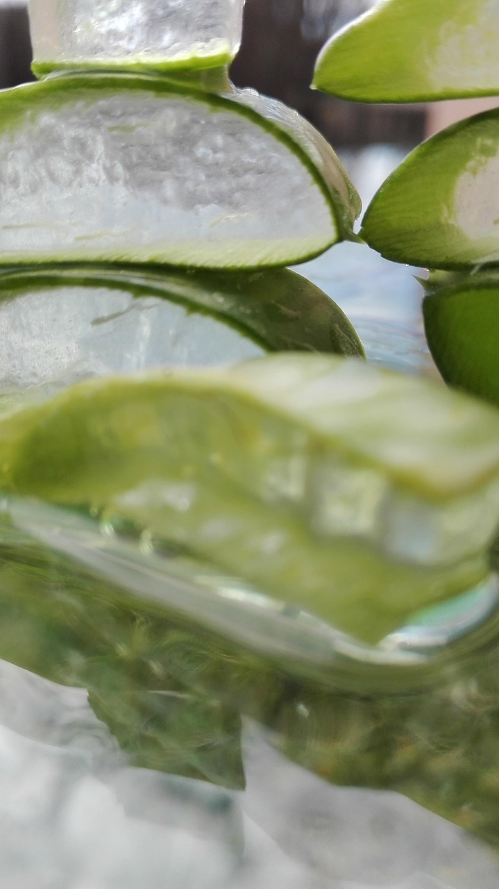 ontdek de voordelen van aloe vera voor je huid en gezondheid. leer meer over toepassingen, eigenschappen en tips voor dagelijks gebruik van deze veelzijdige plant.