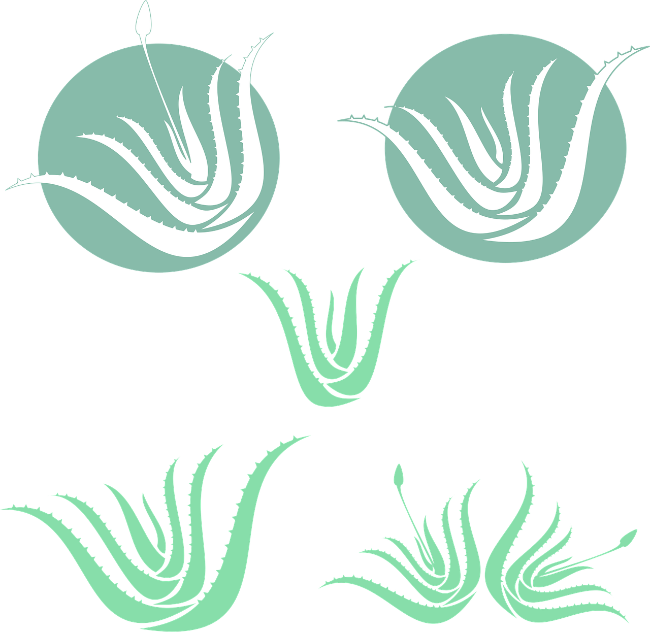 ontdek de voordelen van aloe vera! leer alles over de toepassingen, gezondheidsvoordelen en hoe je aloe vera kunt gebruiken voor huidverzorging en welzijn.